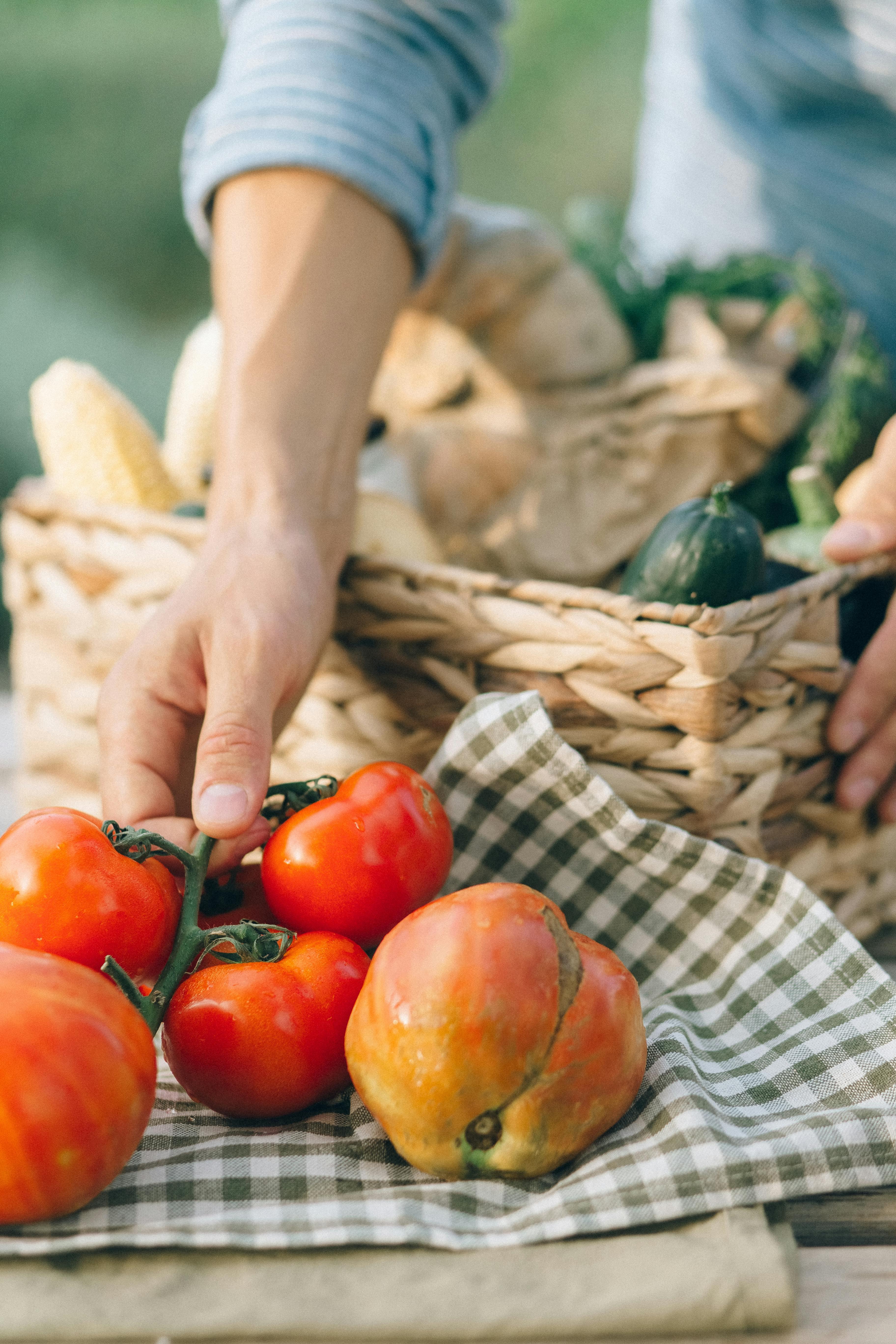 Uomo con pomodori, cassetta di ortaggi